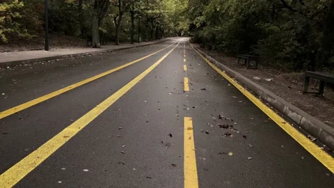 Walking on the asphalt path road with yellow lines Stock Footage 162657754