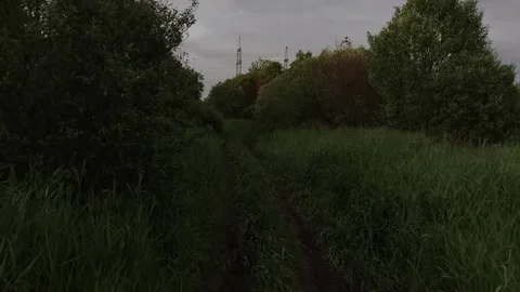 Walking atmosphere in the garden Stock Footage 316941989