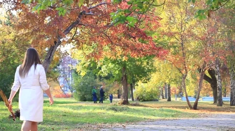 Walking in autumn fall park Stock Footage 42779540