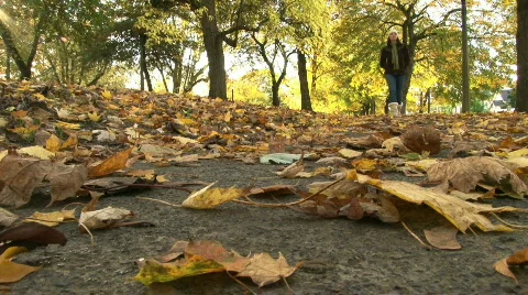 Walking in Autumn Stock Footage
