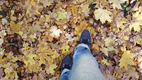 Walking in the autumn forest top down view. legs on the leaves Stock Footage 141561543
