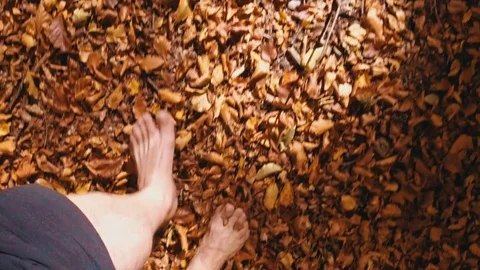 Walking in the autumn leaves Stock Footage 81623511