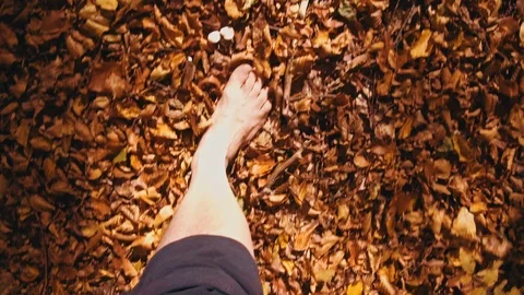 Walking in the autumn leaves Stock-Footage 98865609