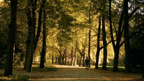 Walking in autumn park Stock-Footage 96421392