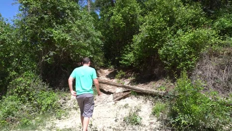 Walking Away from the Camera Stock Footage 271369177