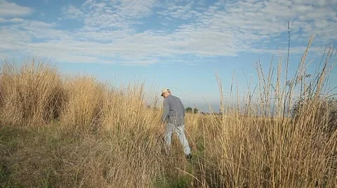 Walking away in dry grasses 스톡 동영상 10702403