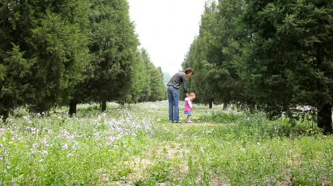 Walking away Video stock 382560