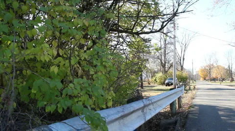 Walking back and forth 動画素材 925720