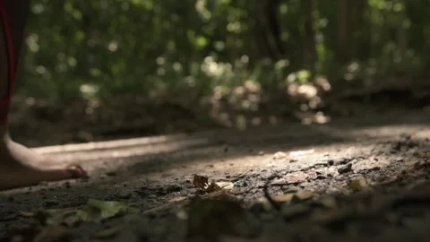 WALKING BARE FEET IN FOREST AREA LOW GROUND ANGLE CLOSE UP 動画素材 209157005