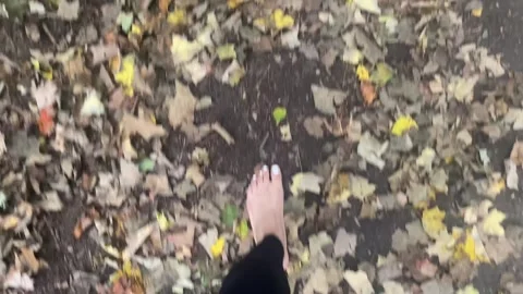 Walking Bare Feet In The Forest Stock Footage 253152412