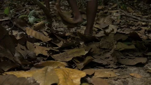 Walking barefoot in a beautiful forest Stock Footage 200719060
