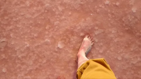 Walking barefoot boy on shallow salt pink lake. Stock Footage 98083532