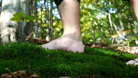 Walking Barefoot on Forest Moss Stock Footage 287850766