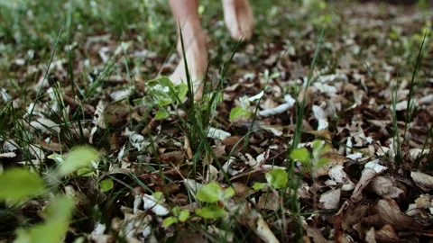  Walking barefoot on leaves Stock Footage 161469446