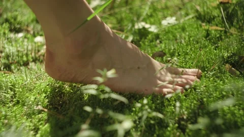 Walking barefoot on the moss Video stock 141888331