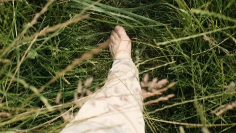 Walking barefoot in tall grass Stock Footage 157066791
