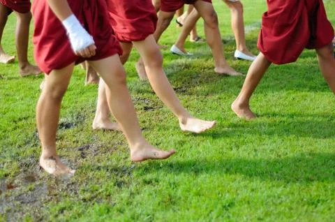 Walking Barefooted on Wet Grass Stock Photos
