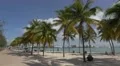 Walking in Bayfront Park in the afternoon, Miami 4k or 4k+ Resolution