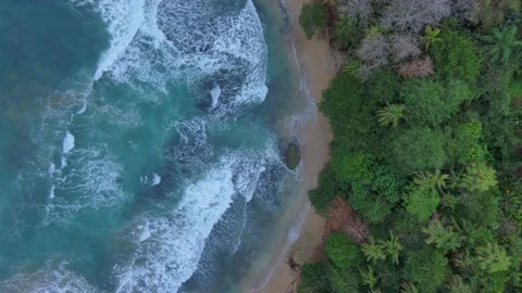 Walking beach from air Video stock 159877983