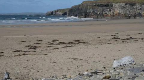 Walking the  beach and cliffs Stock Footage 49394324