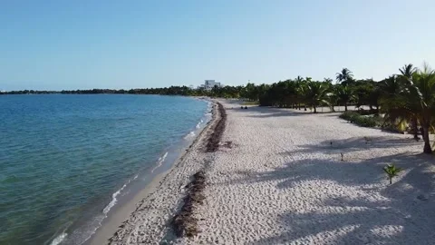 Walking on the beach in Belize Stock Footage 167920606