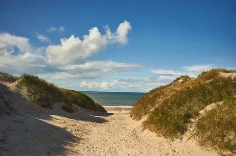 Walking to the beach in Denmark Stock Photos