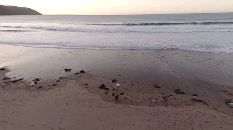 Walking on Beach Stock Footage 44753679