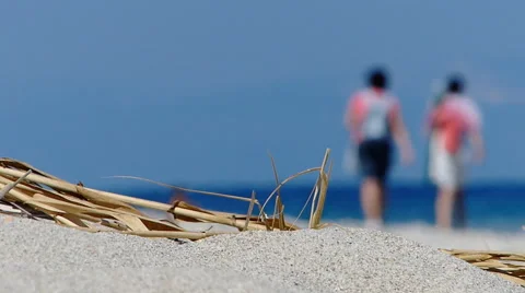 Walking On The Beach Stock Footage 54802071