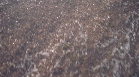 Walking On The Beach Vídeo Stock 55064847