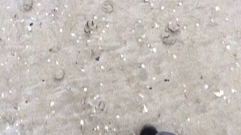 Walking on the beach Stock Footage 71823259