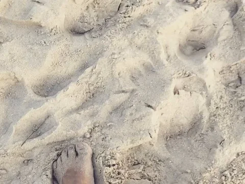 Walking to the beach 스톡 동영상 73210155