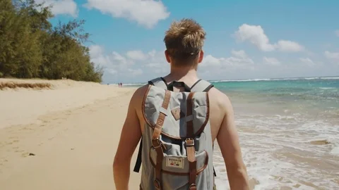 Walking On Beach Stock Footage 75273147