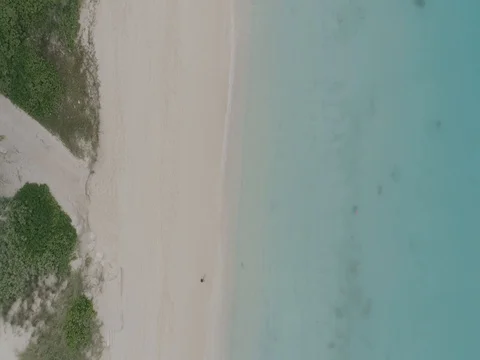 Walking On The Beach 스톡 동영상 76484496