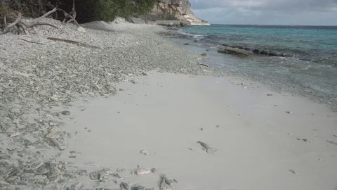 Walking at the beach Stock Footage 83318674