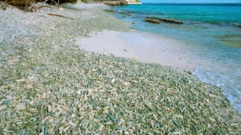 Walking at the beach Stock Footage 83318778