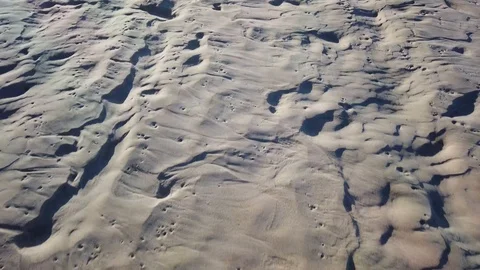 Walking the Beach Video stock 113116813