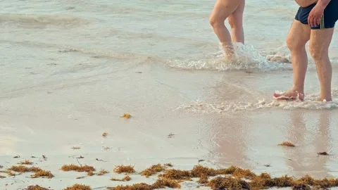 Walking on the beach  스톡 동영상 150285502