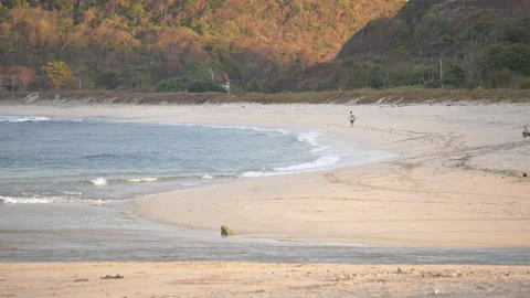 Walking on the beach Video stock 204847564