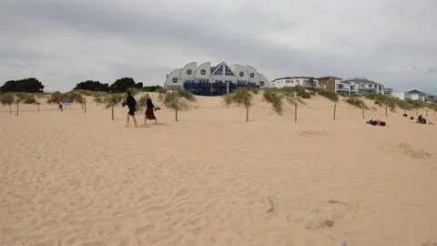 Walking on the beach 스톡 동영상 229898657