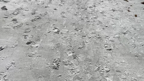 Walking on a beach Stock Footage 241286283