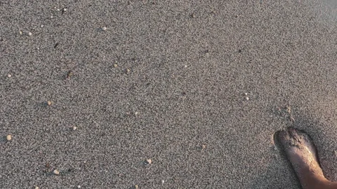Walking on the beach. Stock Footage 279076439
