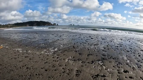 Walking on a Beach in Forks Washington Stock Footage 342235251