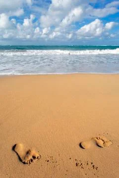 Walking on the beach Stock Photos