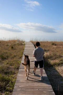 Walking to the beach 库存照片