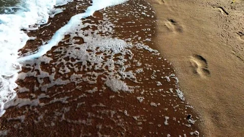 Walking on beach sand with waves washing ashore, handheld downward view Stock Footage 319055972