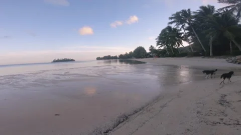 Walking on beach side during low tide sunset time with beautiful ocean water ref Stock Footage 252179586