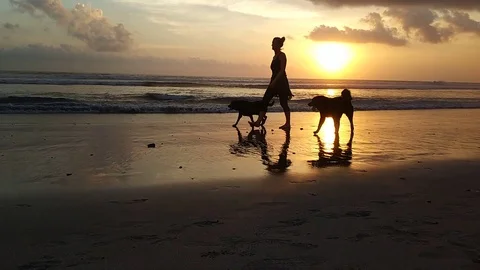 Walking  on the beach with sunset background Stock Footage 91573109