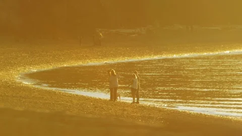 Walking on beach at sunset Video stock 87235723
