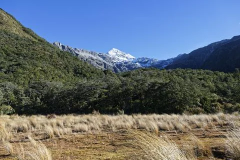 Walking up the Bealey Valley Track in Arthur's Pass towards Mt Rolleston Stock Photos