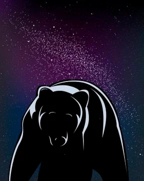 Walking bear isolated in black in a starry night. Stock Illustration